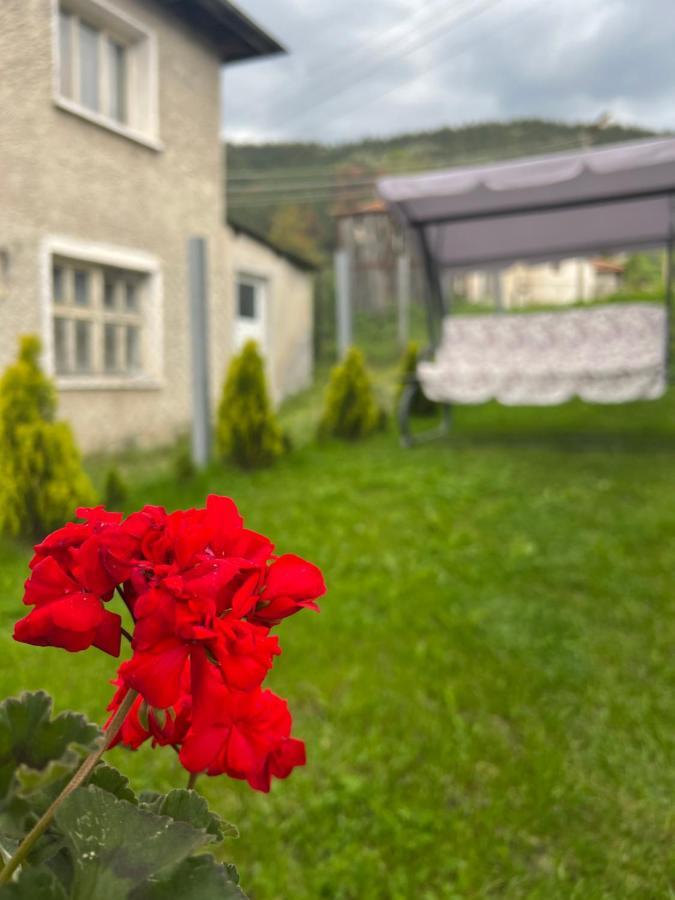 Къща За Гости "Домът На Краси" Yagodina Extérieur photo