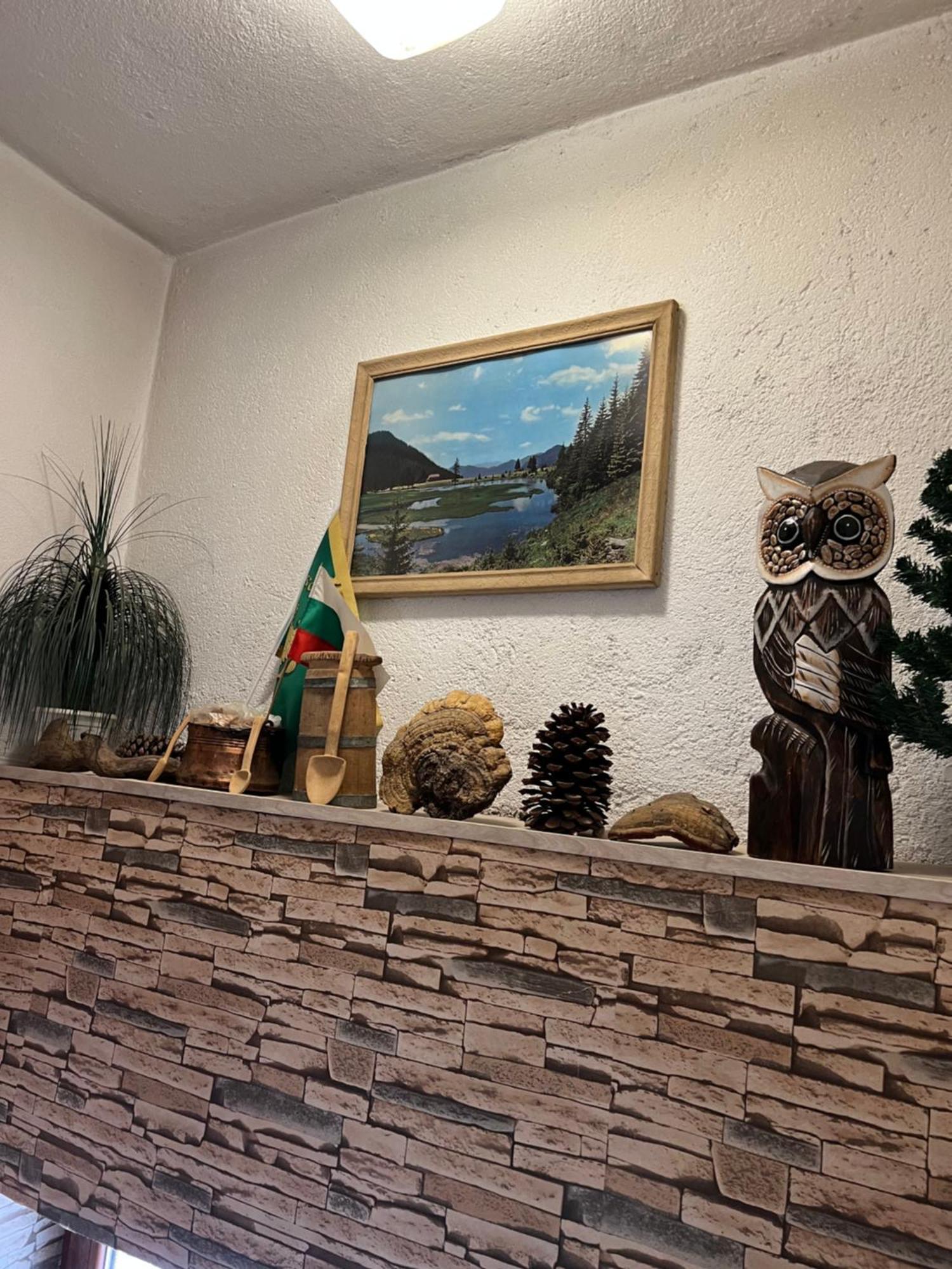 Къща За Гости "Домът На Краси" Yagodina Extérieur photo